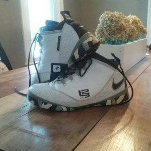 Lebron James Nike Shoes
